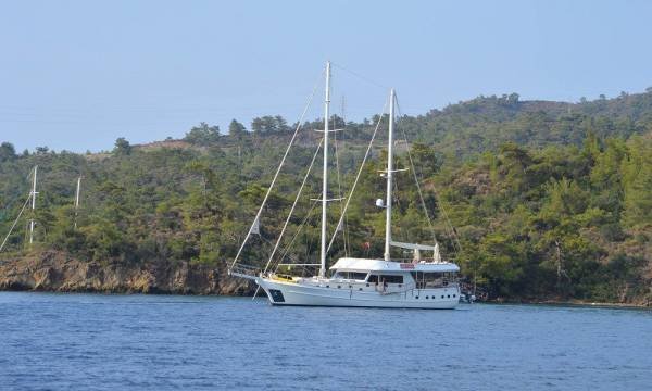 Gül Sultan - Görsel 3