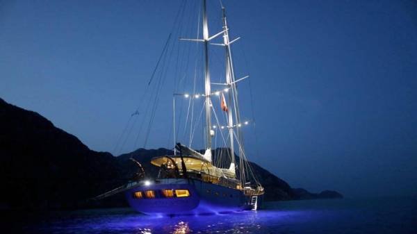 Silver Moon - Görsel 10